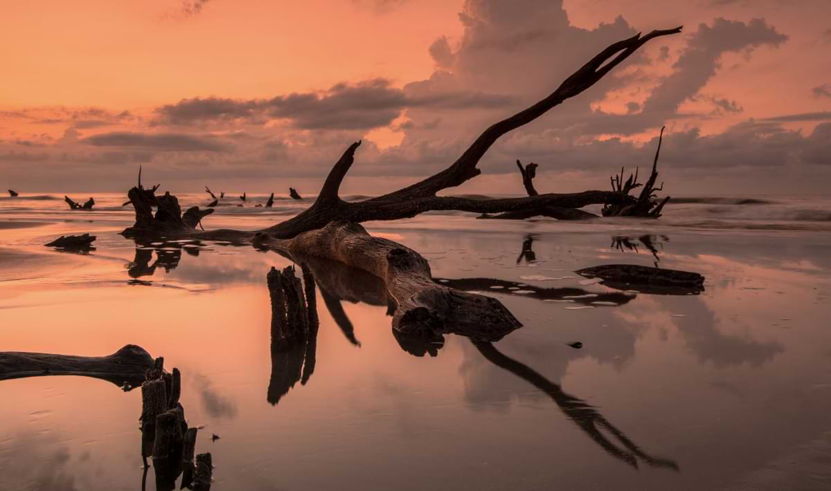 Four Day Trips from Seabrook Island Locals Swear By
